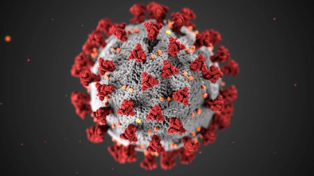 A computerised representation of the COVID 19 virus